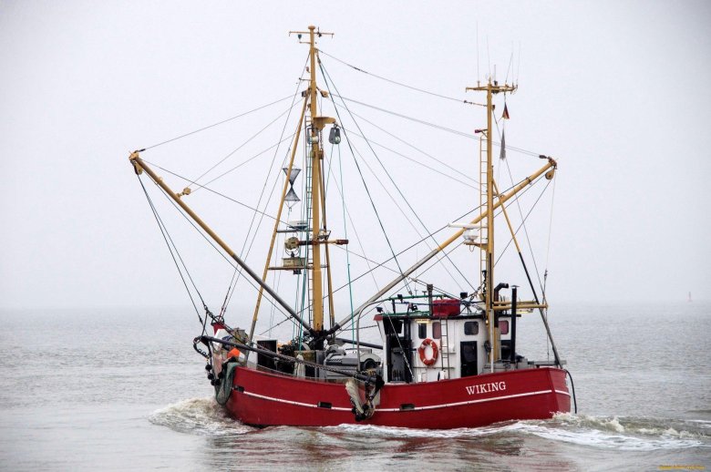 Сейнер линда