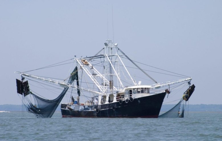 Рыболовное судно (fishing vessel)