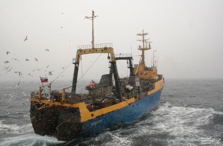 Траулер баренцево море