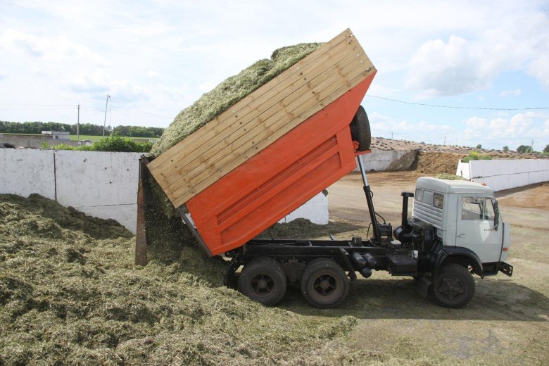 Камаз 5511 сельхозник