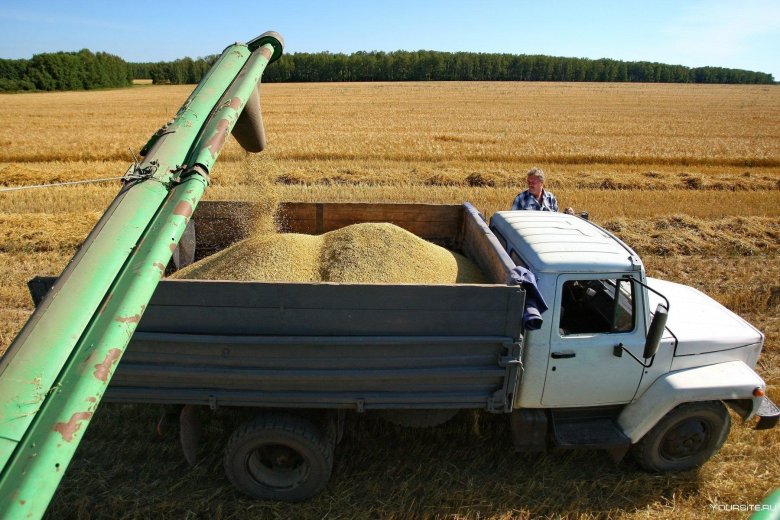 Газ 3307 на уборке зерновых