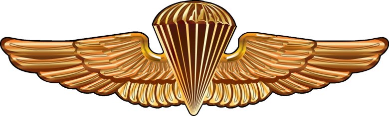 Знаки парашютистов сша