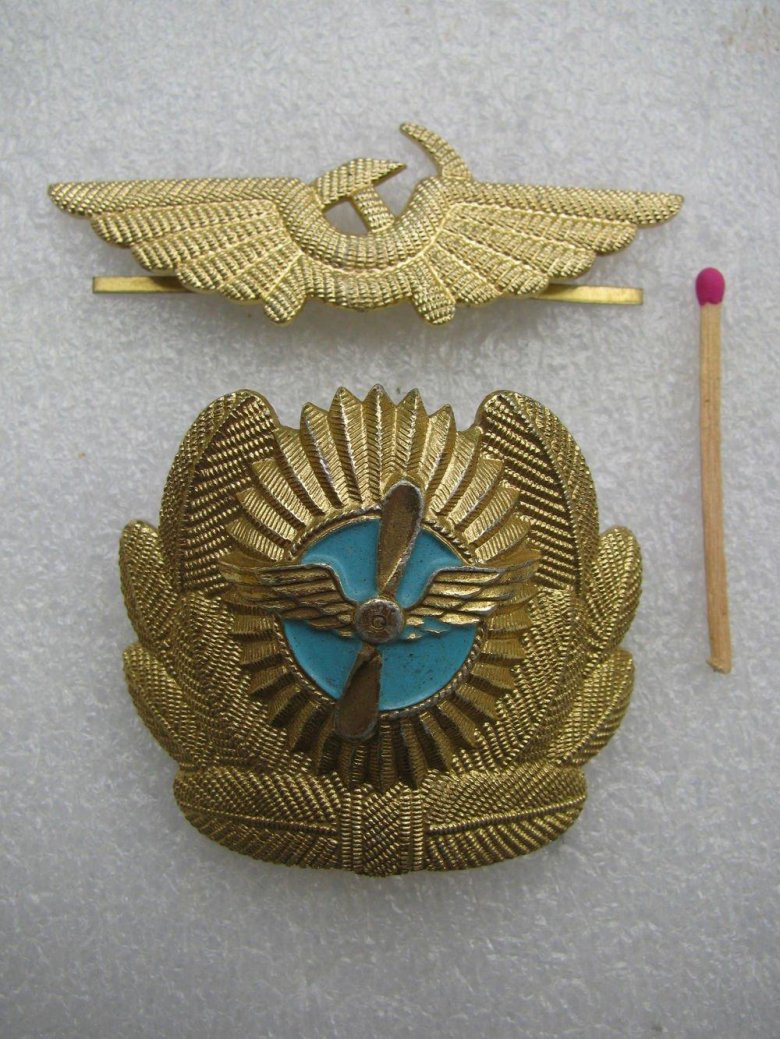 Кокарда летчика россии гражданской авиации