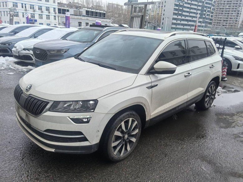 Skoda karoq i