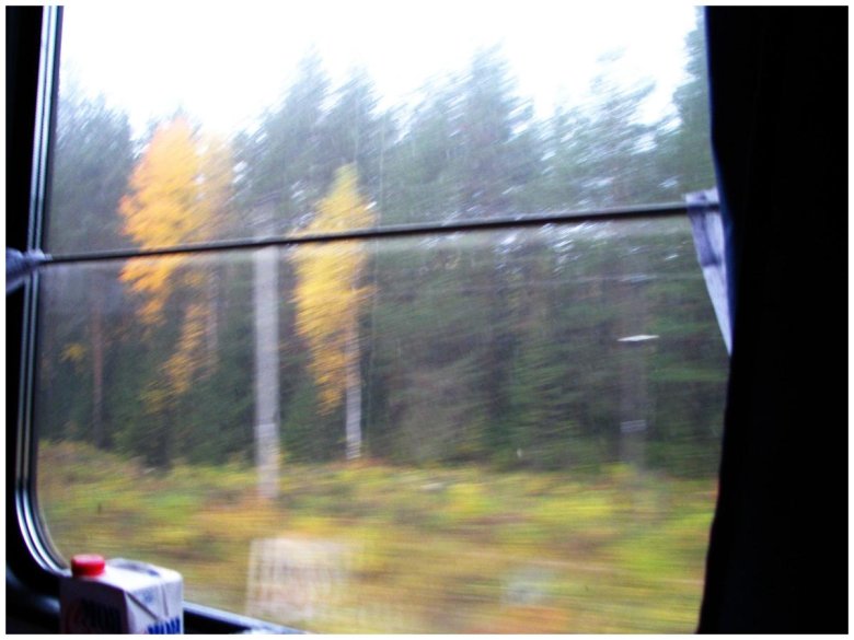 Вид из окна поезда