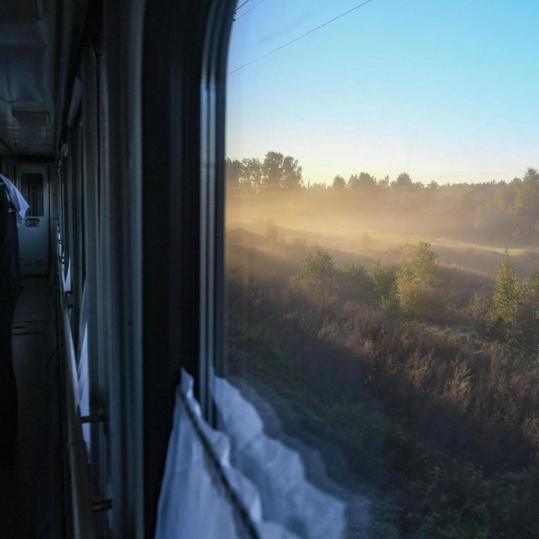 Вид из поезда