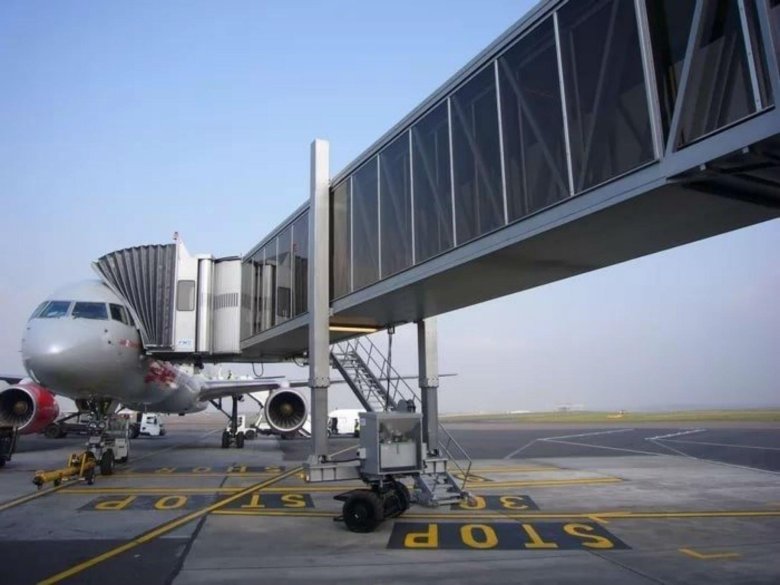 Телетрап в аэропорту домодедово