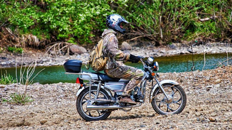 Ирбис вираго