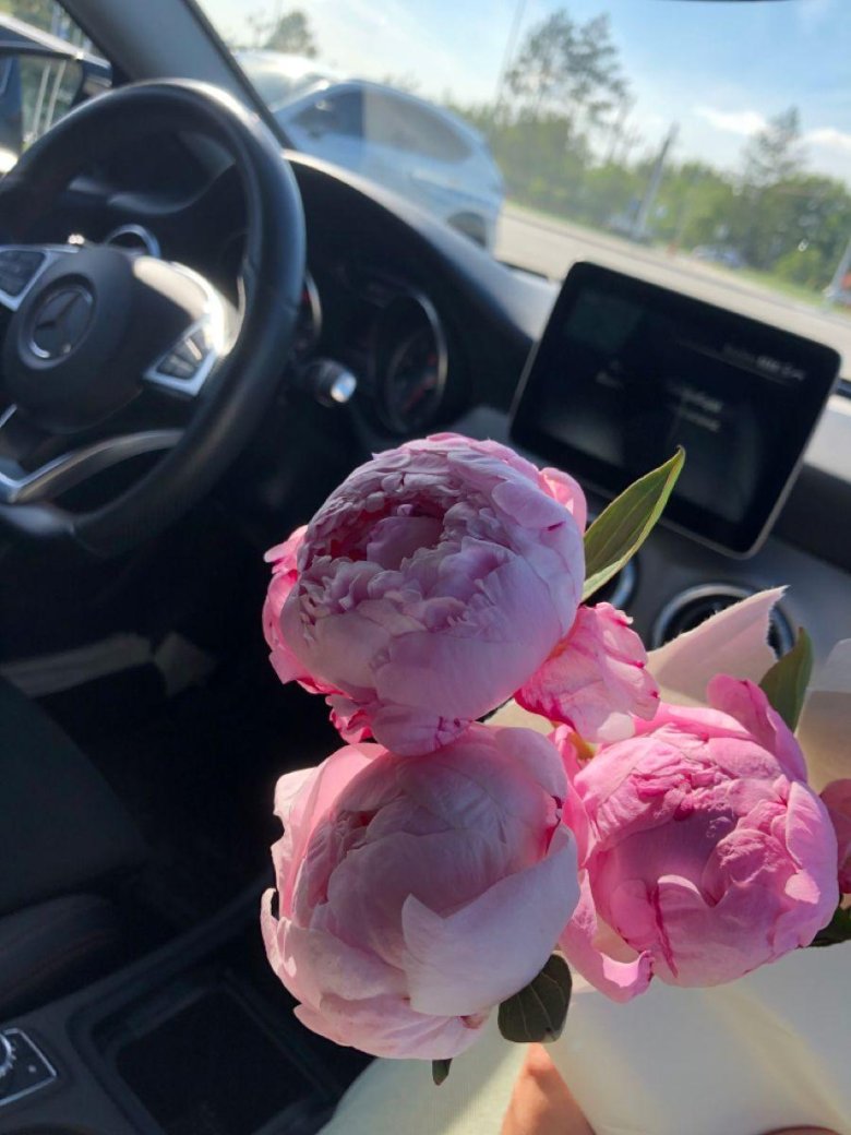 Пионы в машине