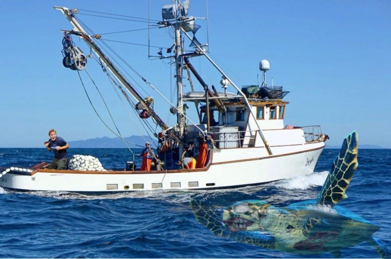 Commercial fishing