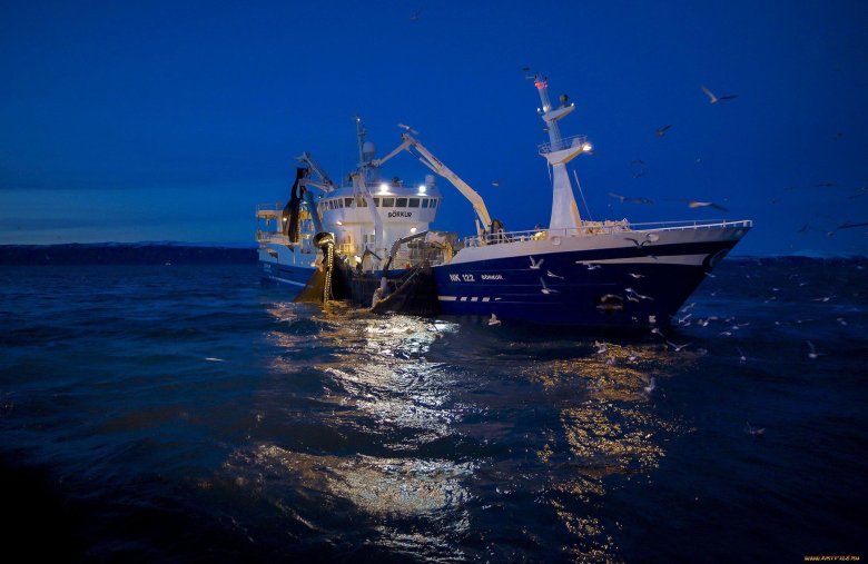 Траулер-сейнер «василий каплюк»