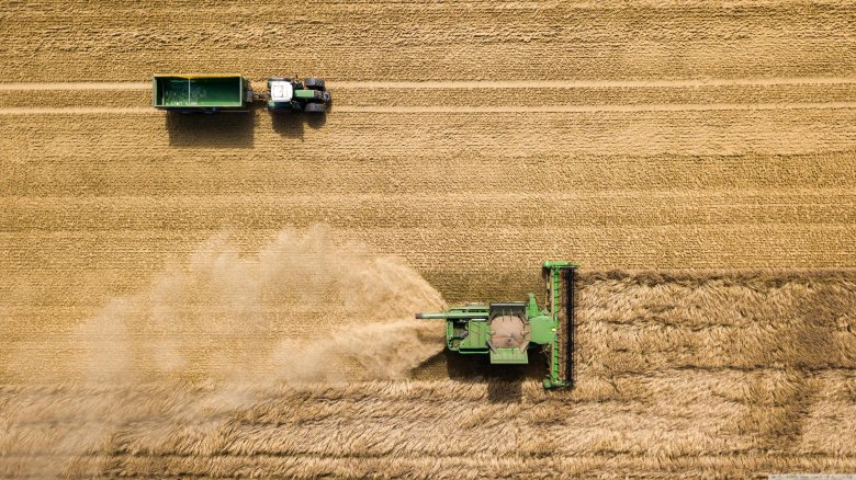 Поле вид сверху
