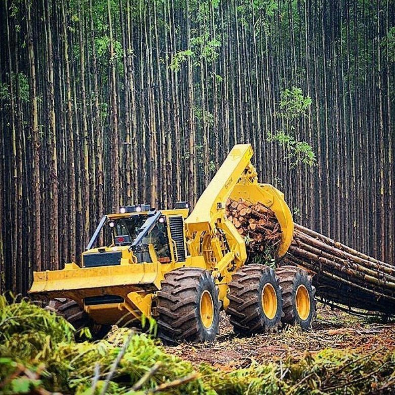 Скиддер тигеркат