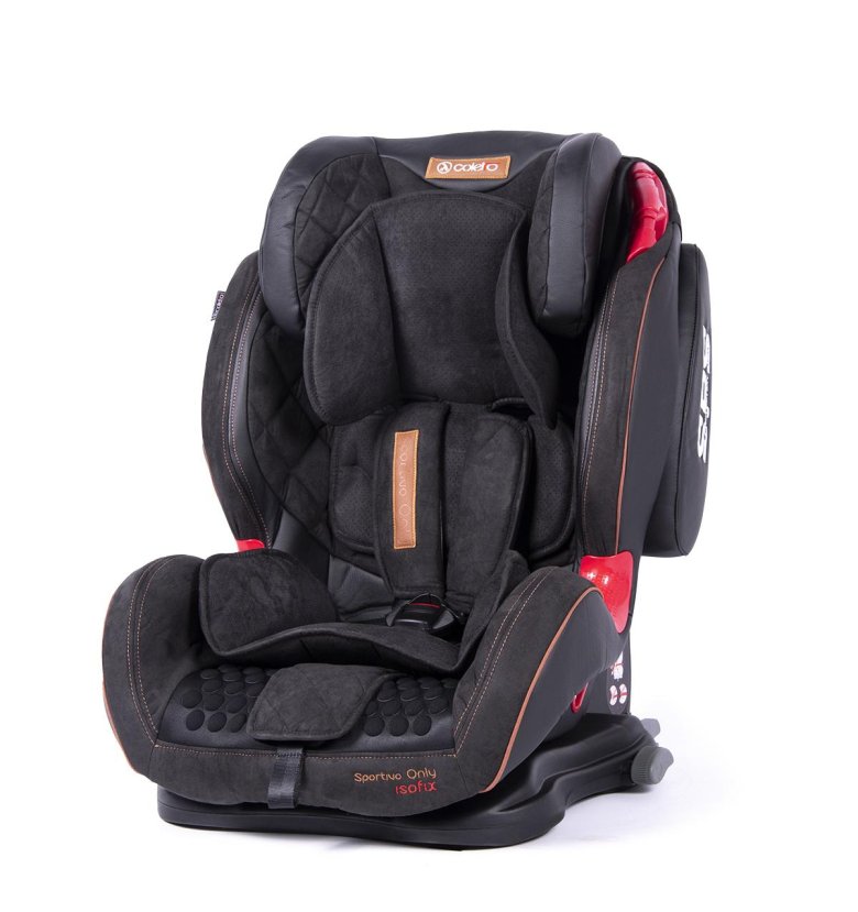 Coletto sportivo only isofix