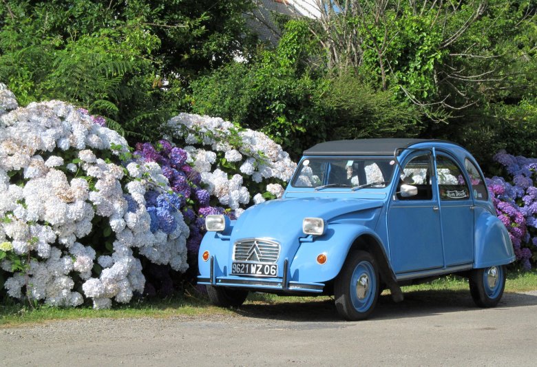 Ситроен 2 св