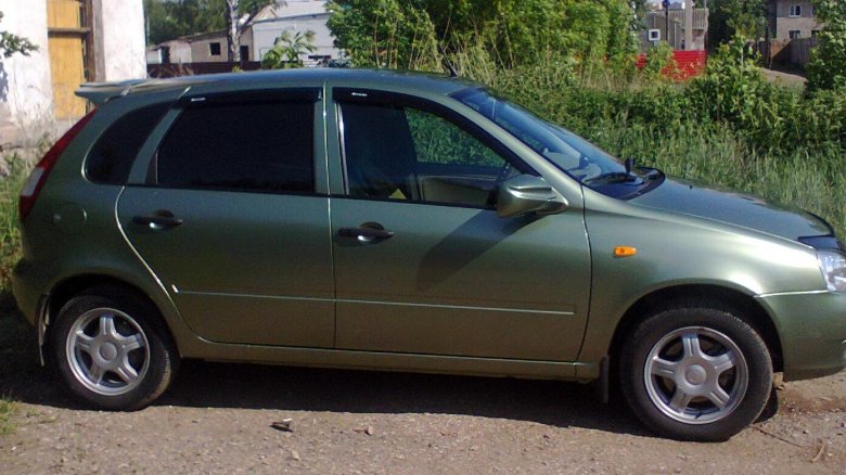 Калина универсал колумбийская зелень