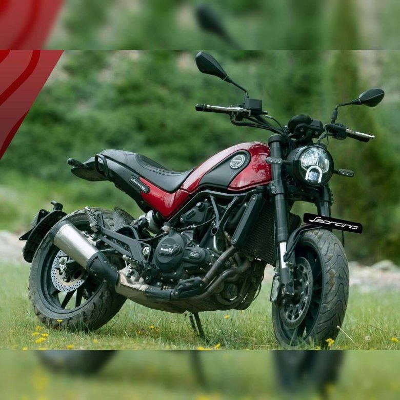 Benelli leoncino 500 trail