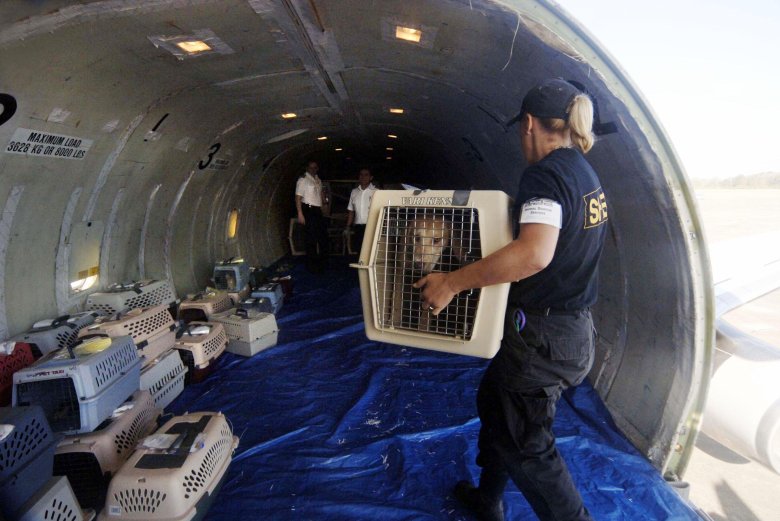 Боинг 747 багажный отсек