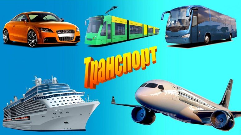 Вид транспорта