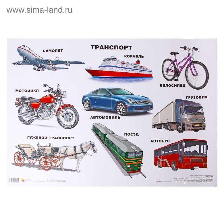 Транспорт виды транспорта