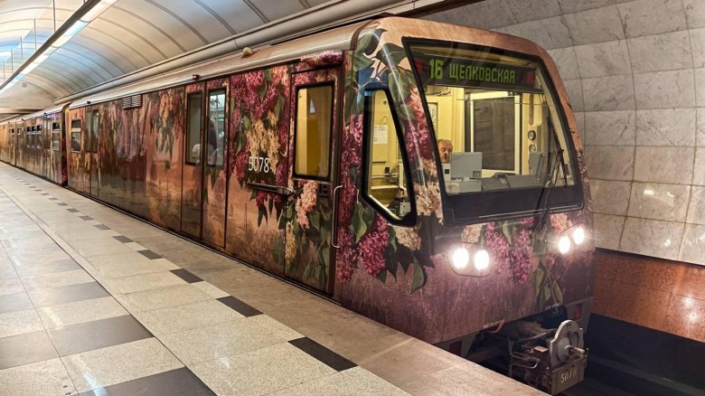 Тематический вагон московское метро