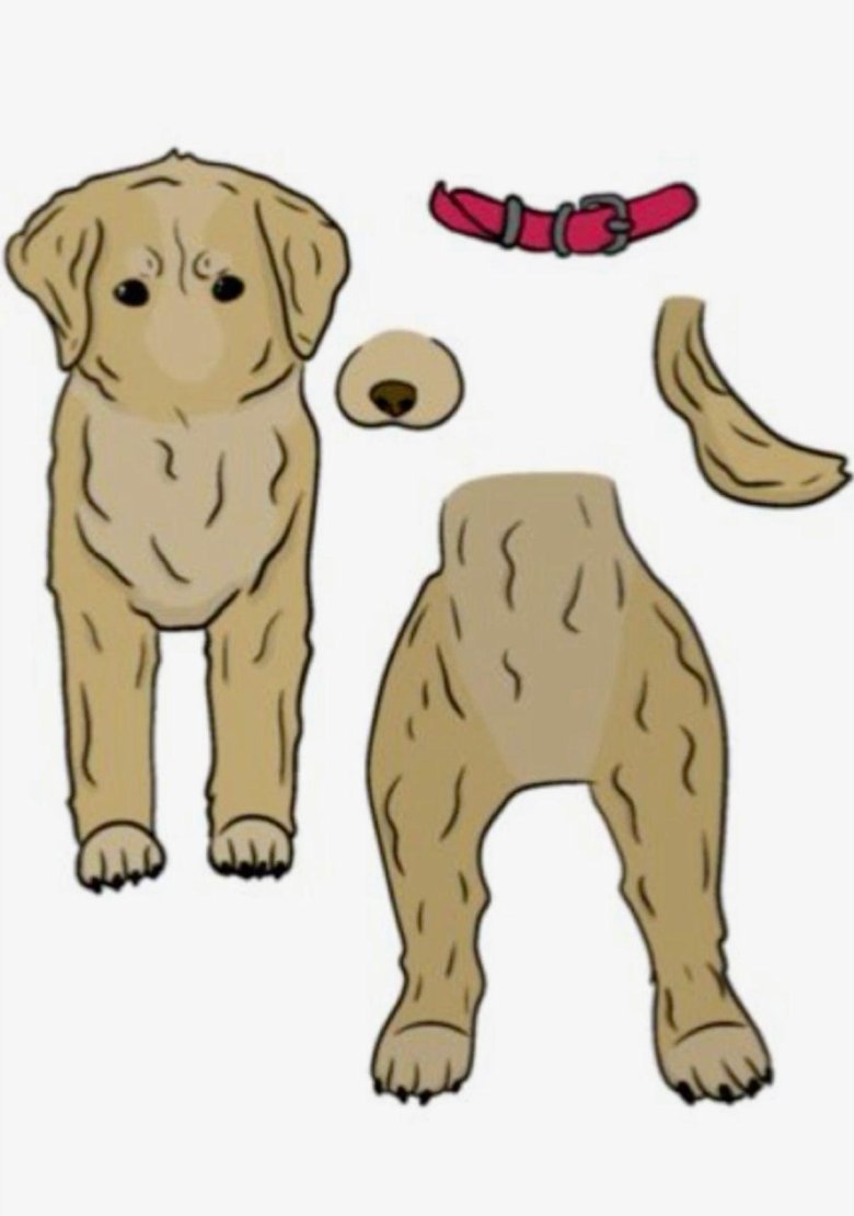 Бумажная собака с одеждой