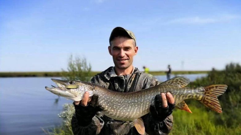 Самая большая щука озеро ильмень