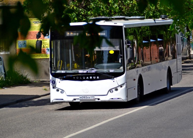 Волжанин volgabus \ 5270\