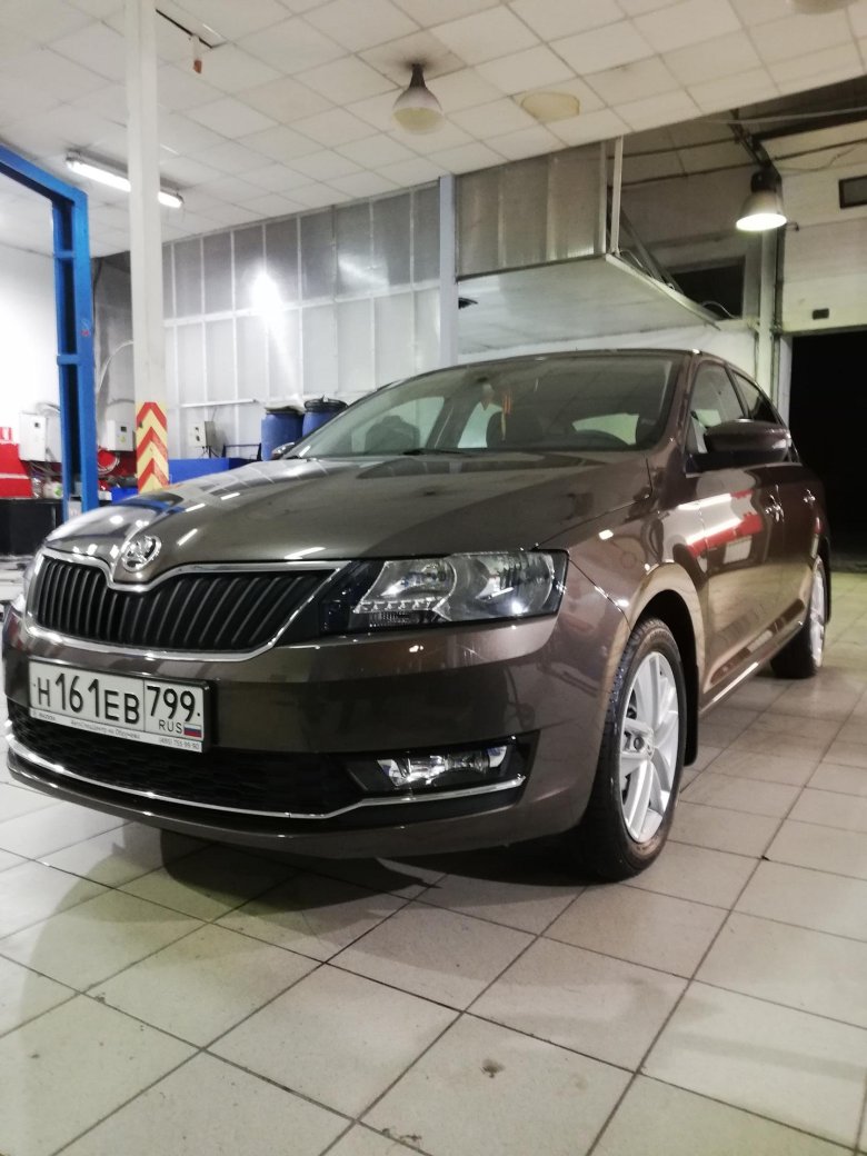 Шкода рапид коричневый металлик