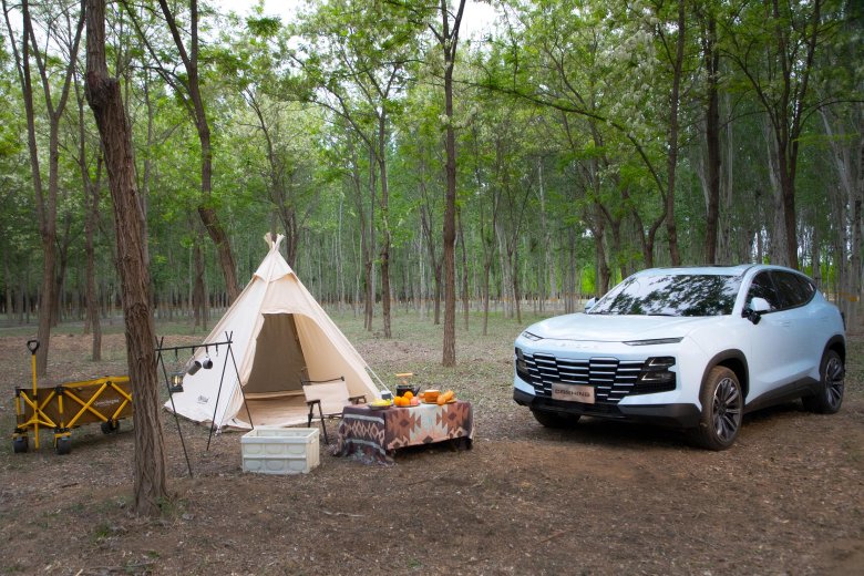 Chery jetour dasheng