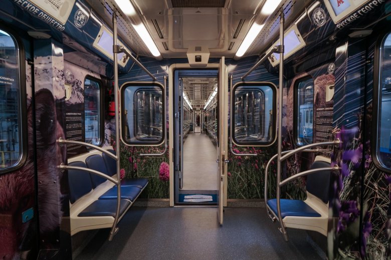 Вагоны метро москва