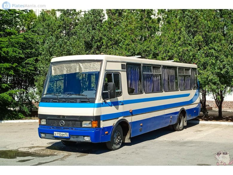 Еталон мальва баз-а079.35