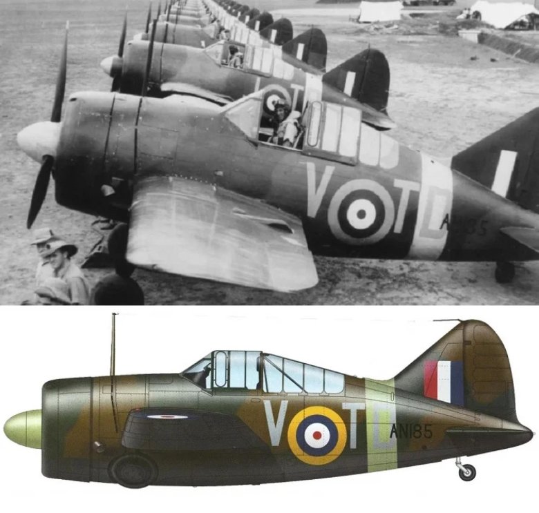 Брюстер буффало