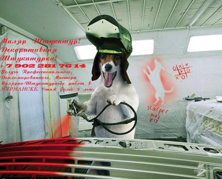 Смешной автомаляр