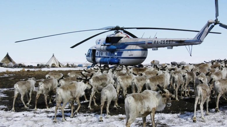 Вертолет и ненцы ямал