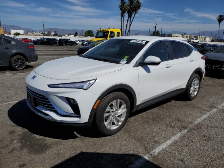 Buick auto vim and power company