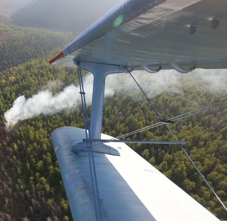 Авиационная обработка леса