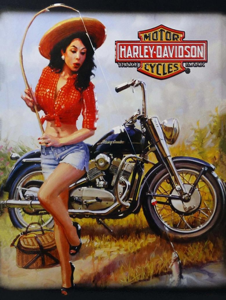 Harley davidson
