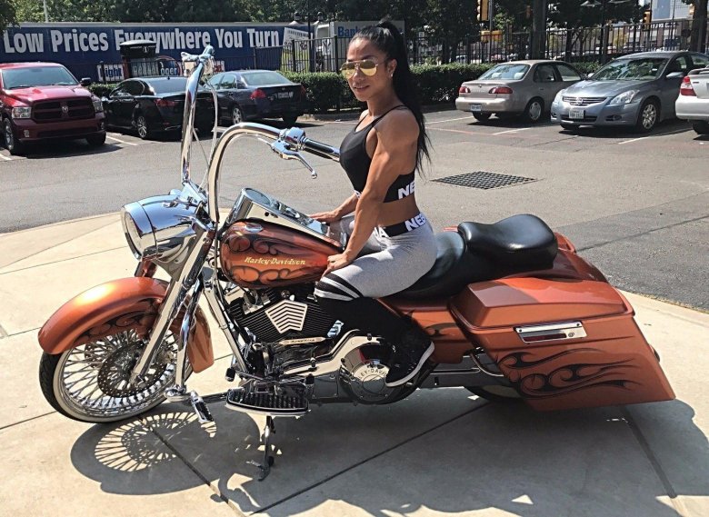 Road king harley davidson