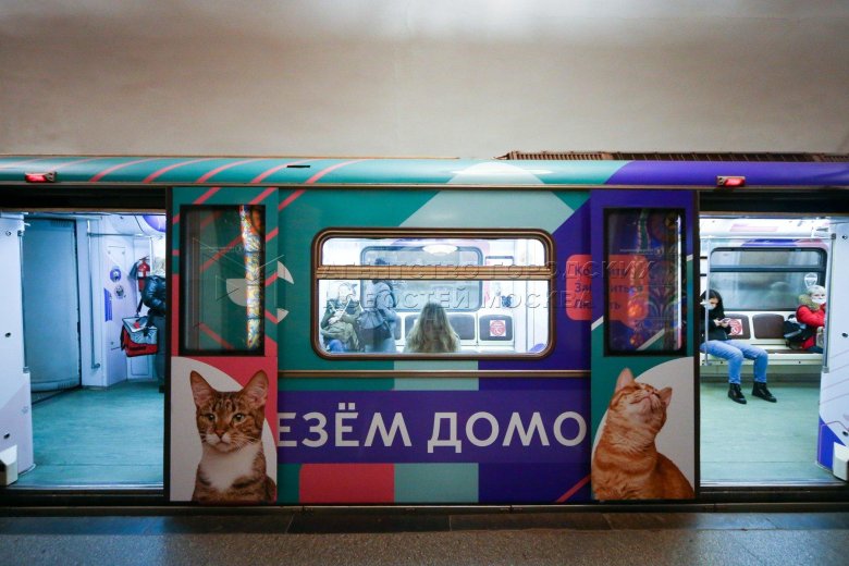 Метро поезд хвосты и лапки