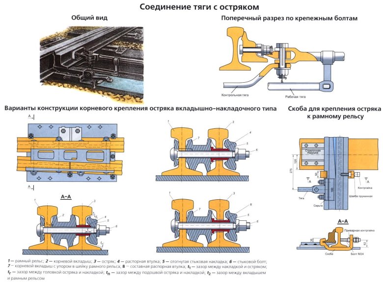 Корневое крепление остряков