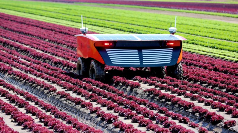 Сельскохозяйственные роботы