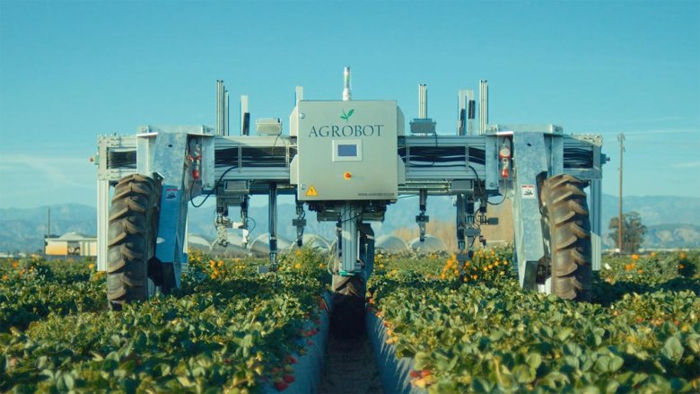 Роботы в сельском хозяйстве
