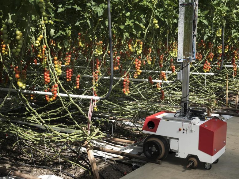 Робототехника в сельском хозяйстве