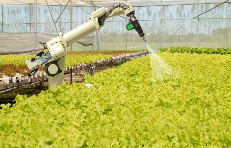 Искусственный интеллект в сельском хозяйстве