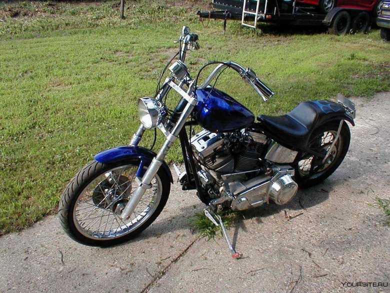 Harley davidson softail standard