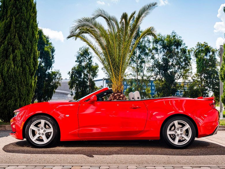 Шевроле камаро кабриолет