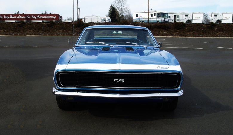 Газ 14 «чайка»