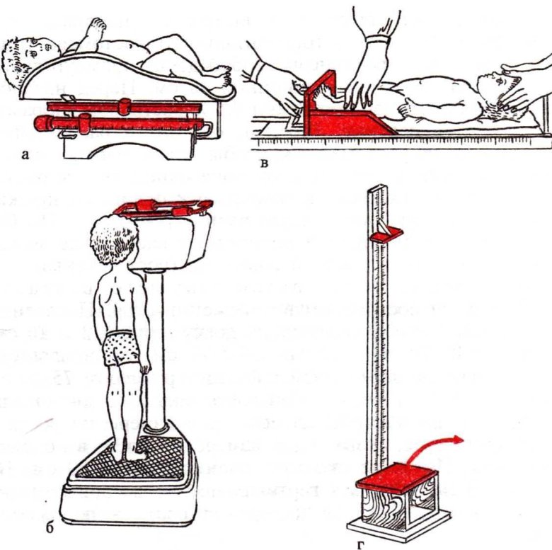 Антропометрия измерение роста алгоритм