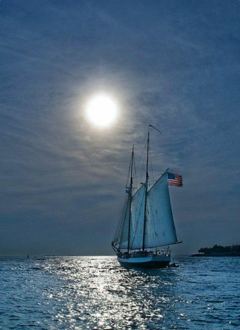 Балтиморская клипер-шхуна